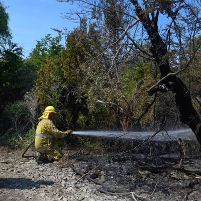 Cómo continúa el operativo para combatir los incendios forestales en Chubut