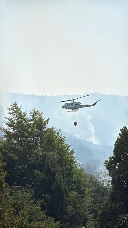 INCENDIO-FORESTAL-EN-CHUBUT-2-410x728