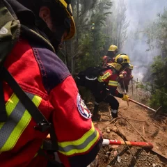 Más de 55 mil hectáreas arrasadas por el fuego: después de la lluvia, las tareas de combate se intensifican en las zonas con puntos calientes