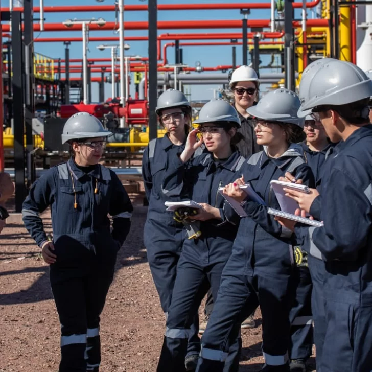 Más de 13.000 inscriptos para los primeros cursos del IVM Más de 13.000 inscriptos para los primeros cursos del IVM