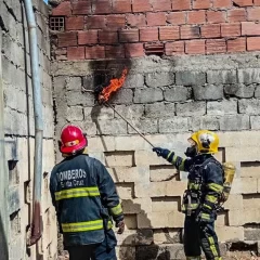 Avispas en Río Gallegos: bomberos asistió a una familia del barrio Newbery