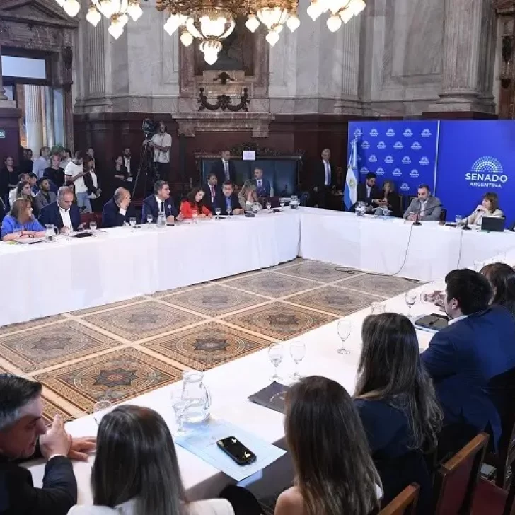 La Libertad Avanza consiguió el dictamen exprés de la Reforma Laboral y el Senado lo tratará el 27 de febrero La Libertad Avanza consiguió el dictamen exprés de la Reforma Laboral y el Senado lo tratará el 27 de febrero