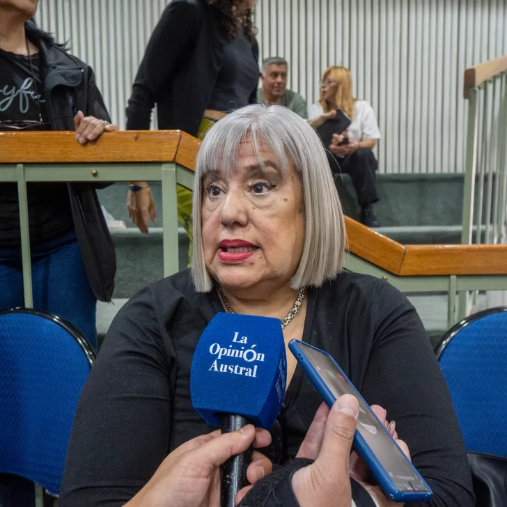 “Necesitamos este paraguas legal para frenar los embargos”, afirmó Cristina Aranda “Necesitamos este paraguas legal para frenar los embargos”, afirmó Cristina Aranda