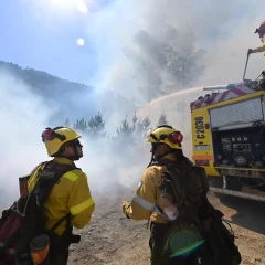 Incendios en Chubut: Buenos Aires envió brigadistas y equipamiento pesado