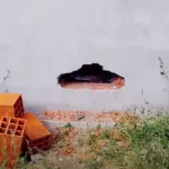 Delincuentes hicieron un boquete y robaron en un local de motos en Pico Truncado