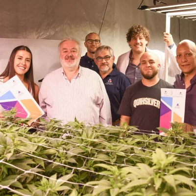 Planta piloto de aceite cannábico para uso veterinario: inicia el proyecto en Comodoro Rivadavia