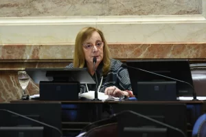 Alicia Kirchner: “No voy a votar una ley tramposa que precariza el trabajo”