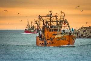 La “Ficha Limpia Pesquera” y los cambios en la ley que buscan reordenar los permisos de pesca en Chubut La “Ficha Limpia Pesquera” y los cambios en la ley que buscan reordenar los permisos de pesca en Chubut