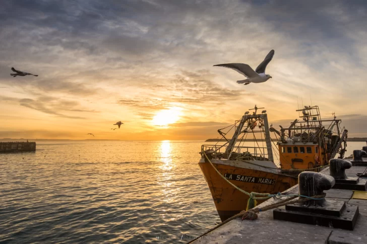 barcos-pesca-chubut-3-728x485