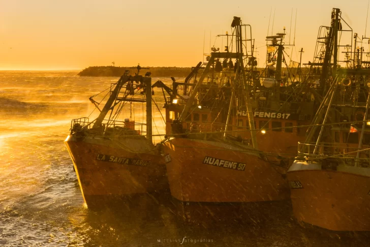 barcos-pesca-chubut-4-728x485