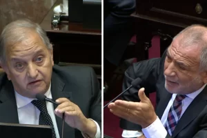 Baja de imputabilidad: Linares acusó a senadores de “carroñar” con el dolor de las víctimas y Juez lo cruzó en el Senado