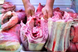 Barrera sanitaria en Santa Cruz: la Justicia Federal anuló la resolución del SENASA que permitía el ingreso de carne con hueso