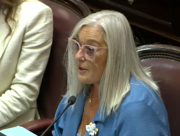 Edith Terenzi defendió la baja de imputabilidad y aseguró que “nadie está pensando en encarcelar masivamente a menores” Edith Terenzi defendió la baja de imputabilidad y aseguró que “nadie está pensando en encarcelar masivamente a menores”