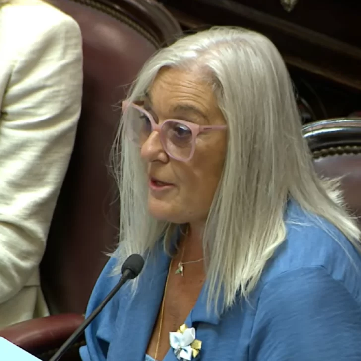 Edith Terenzi defendió la baja de imputabilidad y aseguró que “nadie está pensando en encarcelar masivamente a menores” Edith Terenzi defendió la baja de imputabilidad y aseguró que “nadie está pensando en encarcelar masivamente a menores”