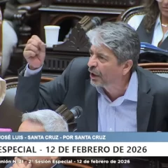 Garrido cruzó a Molina y lo tildó de “caradura” en pleno debate por la baja de imputabilidad