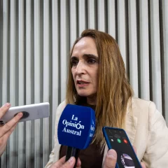 El Gobierno reduce ingresos brutos a pymes y comercios: “Esta ley frena el cierre de comercios”, destacó Ricci