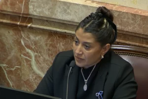 Natalia Gadano adelantó que “Por Santa Cruz” votará a favor de la baja de imputabilidad: “Es una herramienta para que el Estado deje de estar ausente”