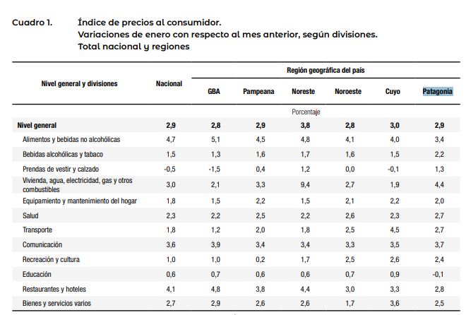 La Patagonia cerró enero con 2,9% de inflación y fuerte presión de los servicios