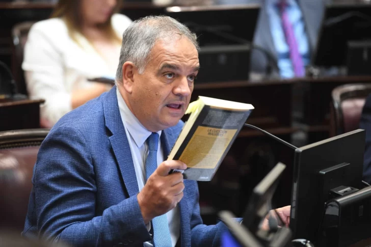 sesion-senado-26-febrero-foto-Mario-Mosca-7-728x485