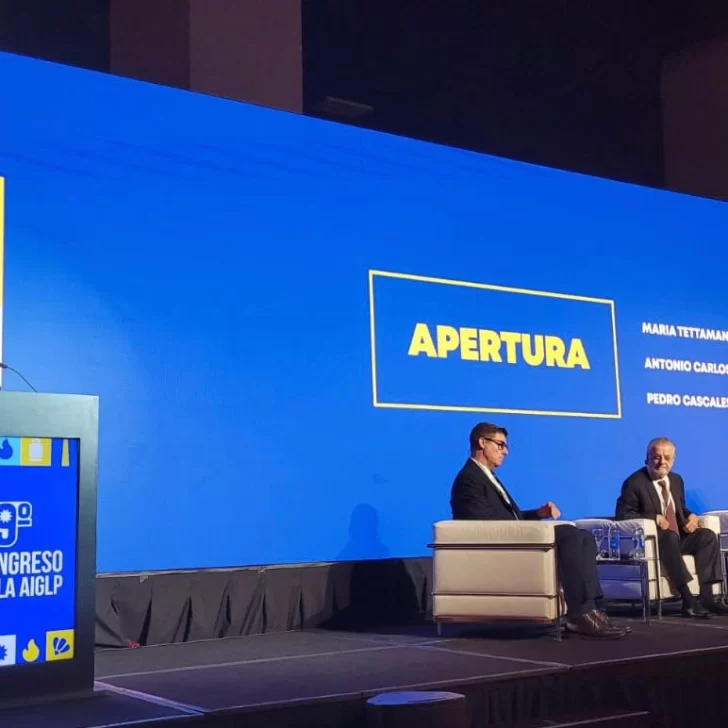 Tettamanti defendió la desregulación: “La única forma de garantizar precios bajos es con libertad y competencia” Tettamanti defendió la desregulación: “La única forma de garantizar precios bajos es con libertad y competencia”