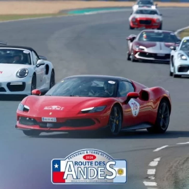 Una visita mas que espectacular Una visita mas que espectacular