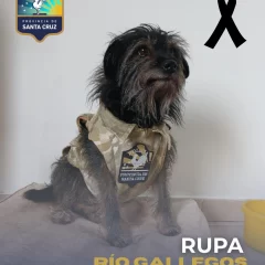 La Policía de Santa Cruz despidió a la perrita Rupa: “Fue parte de la familia”