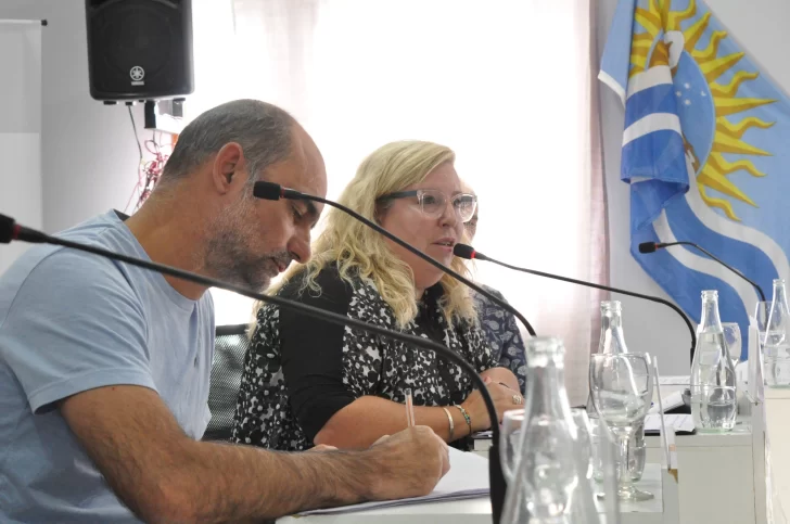  La concejal Romanelli sostuvo que muchas de las voces interesadas no pudieron participar del proceso.