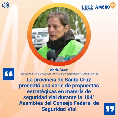 Seguridad vial: piden que sea obligatorio portar cadenas en todo el país para viajar a la Patagonia