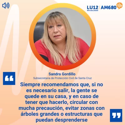 Alerta por vientos extremos: piden evitar circular y reforzar precauciones