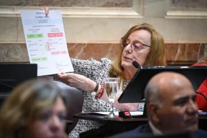 Alicia Kirchner logró el tratamiento del proyecto que protege los subsidios de tarifas de gas