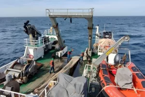 Golfo San Jorge: análisis científico del INIDEP para conocer el estado del langostino