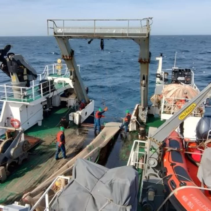 Golfo San Jorge: análisis científico del INIDEP para conocer el estado del langostino Golfo San Jorge: análisis científico del INIDEP para conocer el estado del langostino