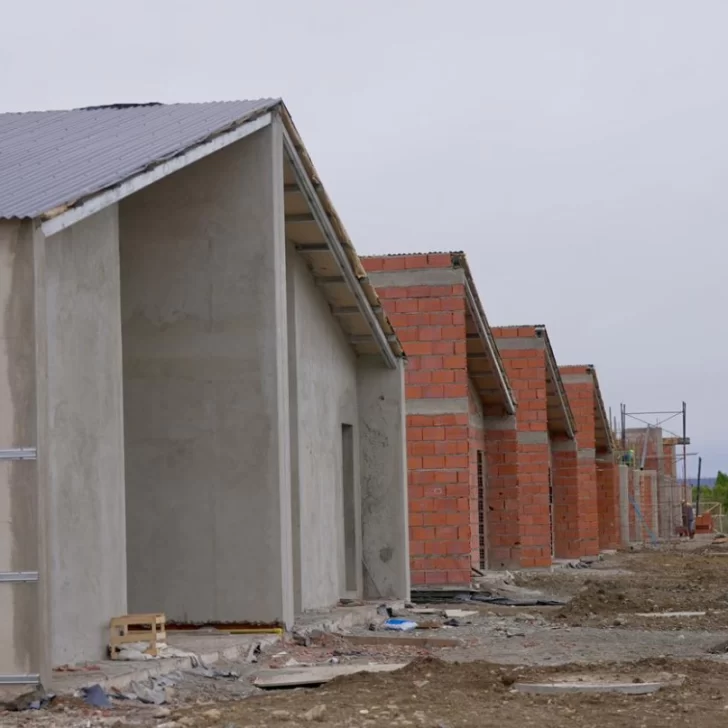 El Gobierno entregará 50 terrenos a familias inscriptas en el Registro Único de Postulantes El Gobierno entregará 50 terrenos a familias inscriptas en el Registro Único de Postulantes