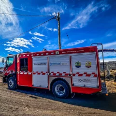 El Calafate: rescataron a un gatito atrapado en lo alto de un poste de luz