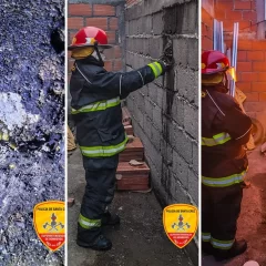Un panal de avispas generó alarma en una vivienda de Perito Moreno