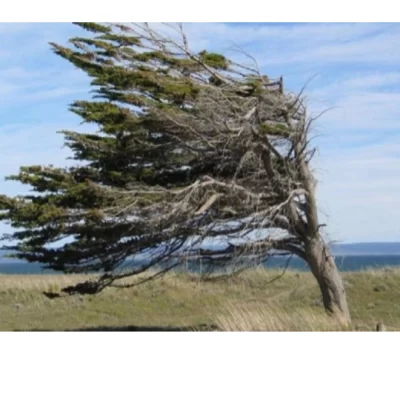 Con sensación térmica bajo cero, el viento marca el pulso en Las Heras: el miércoles será el día más complicado