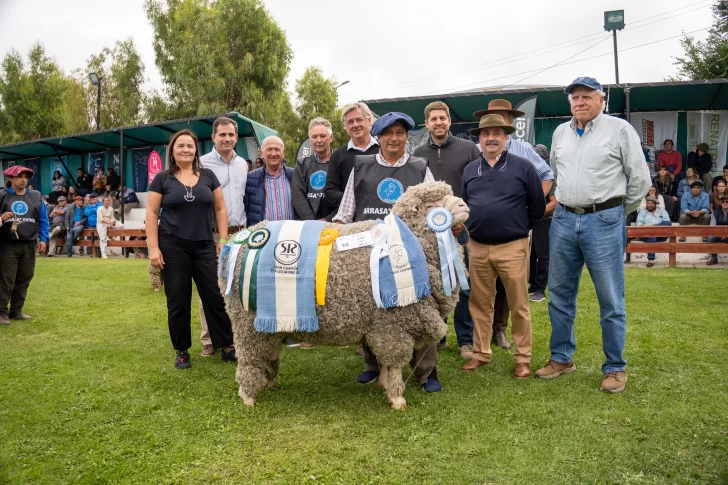 WhatsApp-Image-2026-03-09-at-2.45.49-PM-728x485