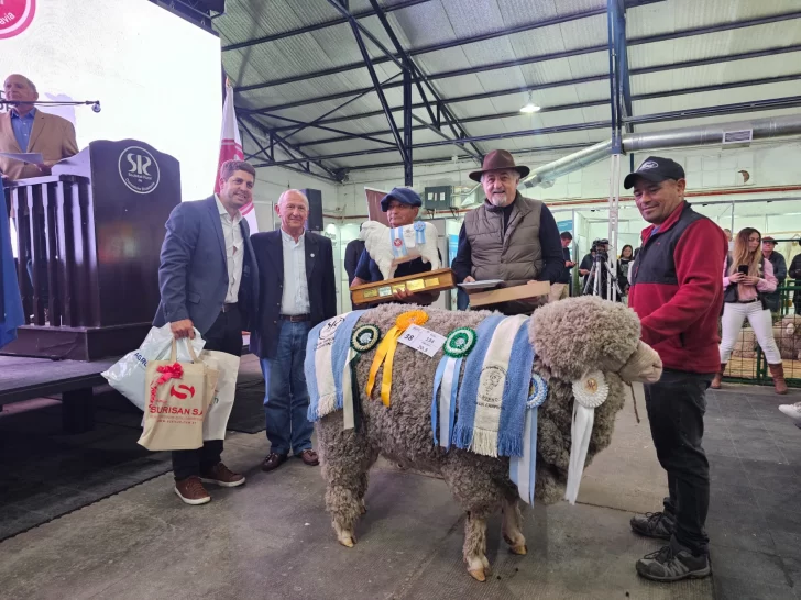 WhatsApp-Image-2026-03-09-at-2.45.50-PM-728x546