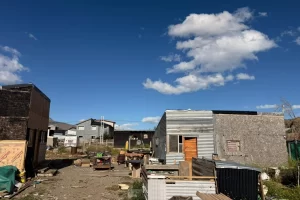 Le secuestraron dos plantas de marihuana “machos” al hermano de una concejal de una ciudad de Santa Cruz