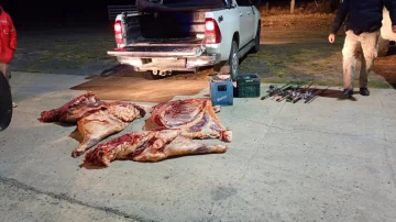 Sospecha de abigeato en El Calafate: secuestran 200 kilos de carne bovina transportada sin documentación Sospecha de abigeato en El Calafate: secuestran 200 kilos de carne bovina transportada sin documentación