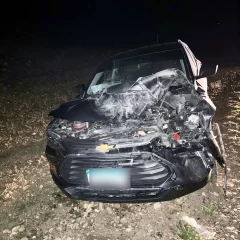 Dos vecinos de Río Gallegos se salvaron de milagro tras chocar contra un guanaco cuando regresaban a la ciudad