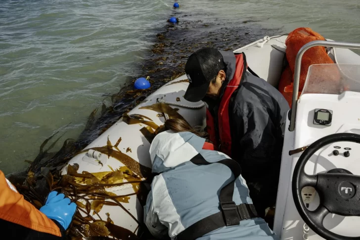 WhatsApp-Image-2026-03-18-at-9.46.31-AM-728x486