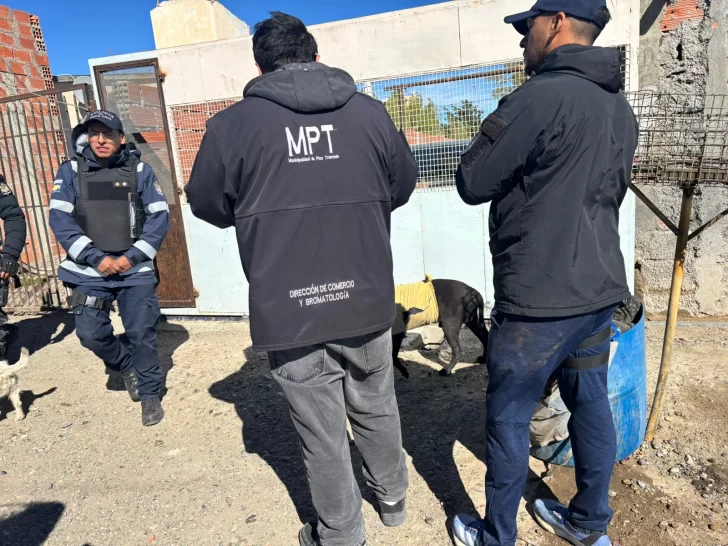 WhatsApp-Image-2026-03-30-at-13.05.46-728x546 WhatsApp-Image-2026-03-30-at-13.05.46-728x546