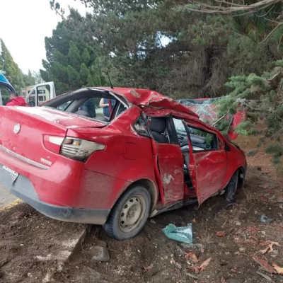 Chocó alcoholizado contra un árbol en la avenida principal de El Calafate