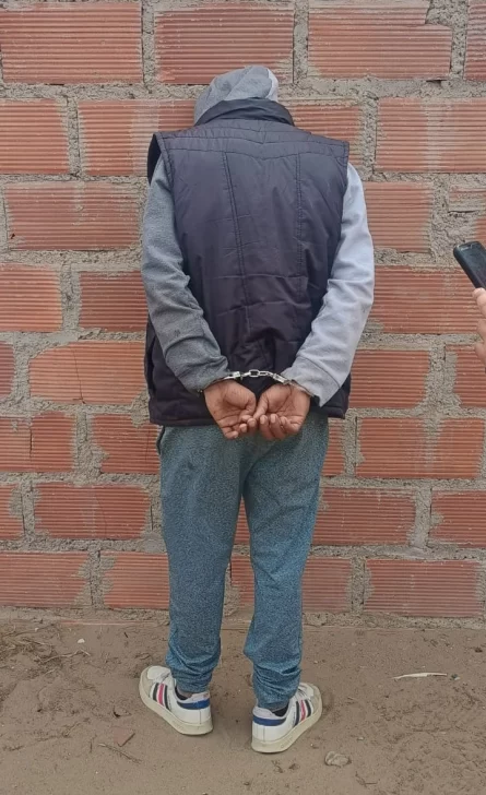 f0bb258e-da00-494e-83ee-a2f8bf847af6-445x728