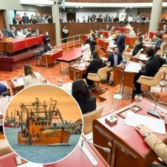 “Ficha limpia pesquera”: empresarios de la pesca en Chubut piden no ser estigmatizados