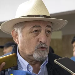 Othar Macharashvili: “Camuzzi ya abusó demasiado”