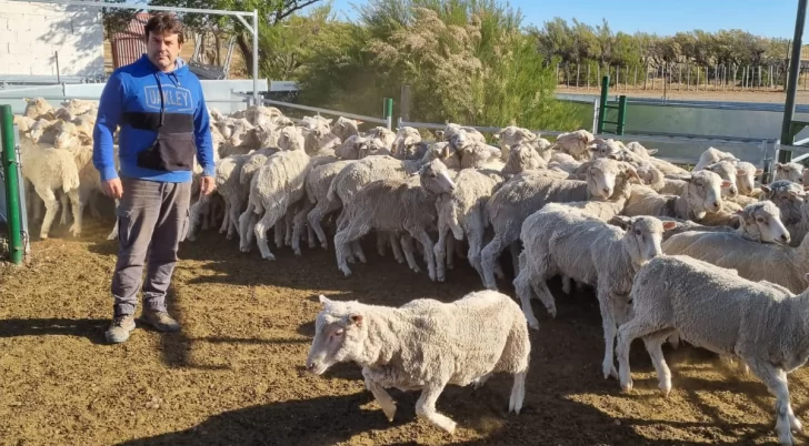 Sebastián Apesteguía, tercera generación de criadores en la región de Puerto Deseado. FOTO: DESEADO NOTICIAS Sebastián Apesteguía, tercera generación de criadores en la región de Puerto Deseado. FOTO: DESEADO NOTICIAS