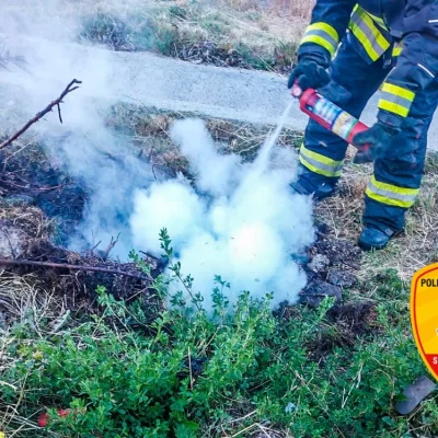 Enjambre de abejas en la vía pública asustó a vecinos en Perito Moreno