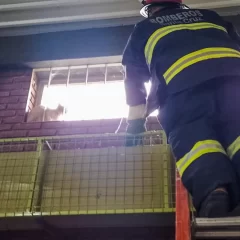 Rescataron a un gato atrapado en la ventana de una escuela